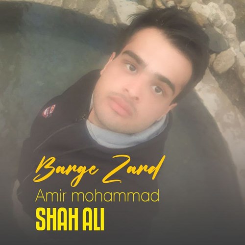 امیرمحمد شاه علی برگ زرد